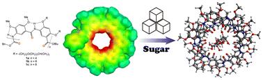 A computational investigation of aromatic oligoamide foldamer binding to sugar molecules