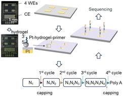 Electronically controlled deprotection chemistry for multiplex enzymatic DNA synthesis on a chip with single-base resolution
