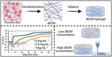 Tuning the mechanical properties and printability of viscoelastic skin-derived hydrogels for 3D cell culture