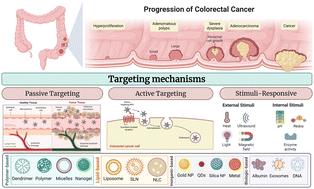 Next-generation nanocarriers for colorectal cancer: passive, active, and stimuli-responsive strategies for precision therapy