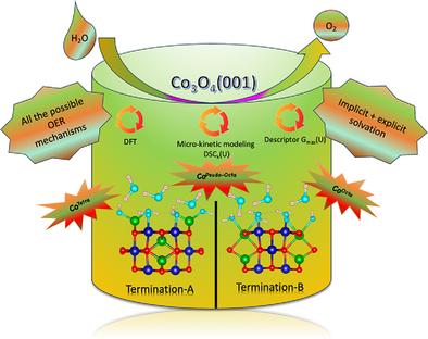 Trends in Oxygen Evolution Reaction Activity and Limiting Steps for Different Active Sites on Co3O4(001)