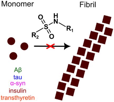 Sulfonamide Inhibitors of Amyloid Aggregation: A Promising Path against Neurodegenerative Diseases