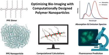 Optimizing bio-imaging with computationally designed polymer nanoparticles