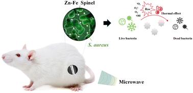 Oxygen vacancy-enhanced microwave catalysis of Zn–Fe spinel for implant-related infections