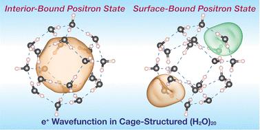 Positron binding in large water clusters: insights into cage-structured systems