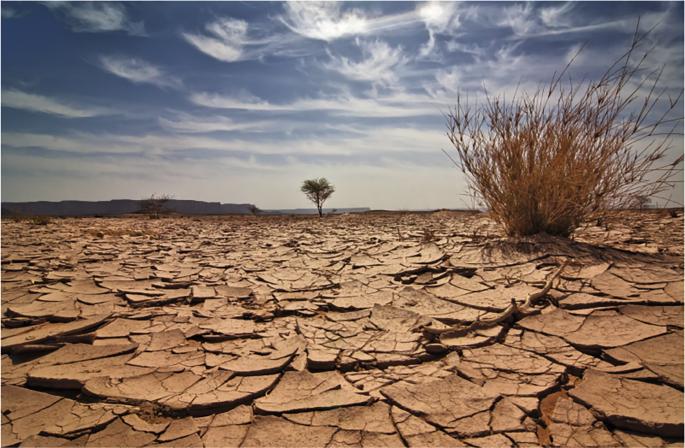 Who moves under climate stress