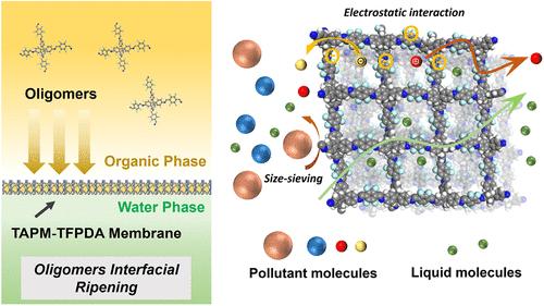 Preparation of Hydrophobic 3D Covalent Organic Polymer Membranes via Interfacial Ripening for Organic Solvent Nanofiltration