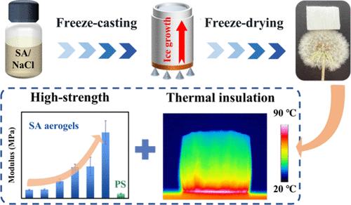 Fabrication of Strong and Thermally Insulated Sodium Alginate Aerogels via a Salt-Regulated Freeze-Casting Strategy