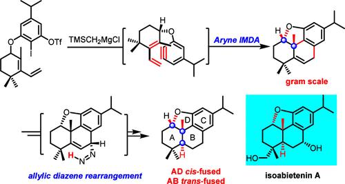 Construction of the Tetracyclic Core of Isoabietenin A