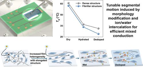 Tunable Segmental Motion of PEDOT:PSS Films under Hydration and Ion Intercalation for Efficient Ionic–Electronic Transport