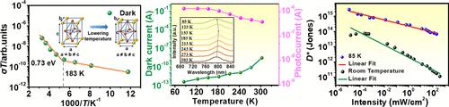 Enhancing Weak Light Detection in Single-Crystalline MAPbI3 Nanowires via Cooling