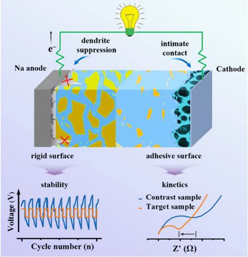 Back-Adhesive Hybrid Solid Electrolyte with Regulated Surface Adhesion Realizing Enhanced Interfacial Kinetics and Stability in Solid-State Sodium Metal Batteries
