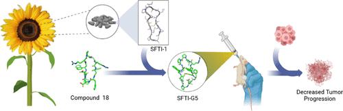 An Orally Available Grafted Peptide Targeting Epidermal Growth Factor Receptor Dimers Reduces Non-Small Cell Lung Cancer Tumors in Mouse Models