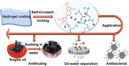 Constructing Self-Covalent Locking and Mechanically Tunable Hydrogel Coatings with Antibacterial and Oil–Water Separation Properties