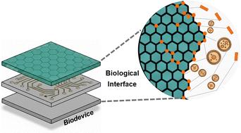 2D and layered materials for bio-integrated devices: insights into their multiscale interaction with biological moieties