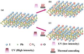Enhanced charge trapping effect in PVA/PbI2 synaptic transistors achieved through integrated UV irradiation and thermal annealing treatments