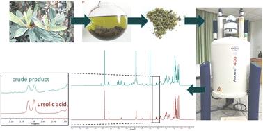 Optimizing the extraction of ursolic acid from loquat leaf using 1H-qNMR