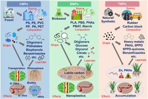 Occurrence, fate, and ecological impacts of microplastics in soil: a comparative analysis of conventional, biodegradable microplastics, and tire wear particles