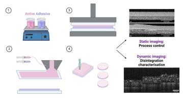 Real-time monitoring and characterization of thin film drug delivery systems using optical coherence tomography