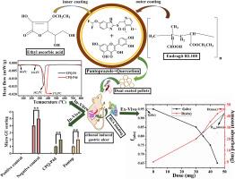 Anti-ulcerogenic and anti-inflammatory potential of ethyl ascorbic acid protected quercetin-pantoprazole pellets and its polyphenolic binding with bovine serum albumin; in-vitro, in vivo, and in-silico analysis