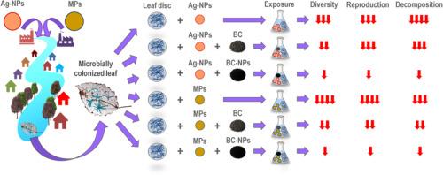 Can nature-based biochar and biochar nanoparticles diminish the impacts of silver nanoparticles and microplastics on microbially-driven stream detrital ecosystem?