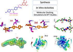 Bis-Schiff bases as potent antidiabetic agents: Synthesis, enzyme inhibition, molecular docking and dynamic simulations