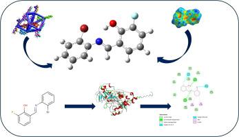 Crystallographic, hirshfeld surface, and DFT analyses of a fluorine–bromine schiff base: Insights into structural features and MAO-A binding potential