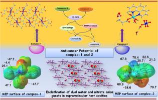 Supramolecular assemblies in fumarato and succinato based Mn(II) and Ni(II) coordination solids involving pyridine and phenanthroline: Anticancer activities and theoretical studies