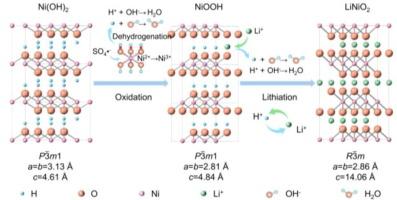 Intermediate phase regulation in Ni-rich cathodes via soft oxidation-lithiation for enhanced electrochemical performance