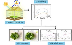 Spectrally selective quantum dot laminated glass for photonic modulation and climate regulation in greenhouses