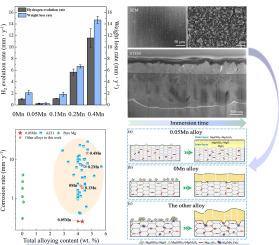 Effect of manganese content on the corrosion resistance of AZ31 Mg alloys fabricated from high-purity magnesium