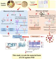 Combined cell membrane solid-phase chromatography and microdialysis-based metabolomics to explore the material basis of Chaihu Shugan San against post-stroke depression