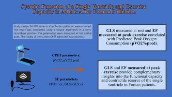 Systolic function of a single left ventricle and exercise capacity in adults after Fontan palliation: A preliminary study using exercise echocardiography