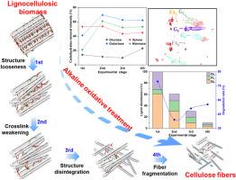 Degradation characteristics of the lignocellulosic biomass during alkaline oxidative fractionation using molecular oxygen under mild conditions