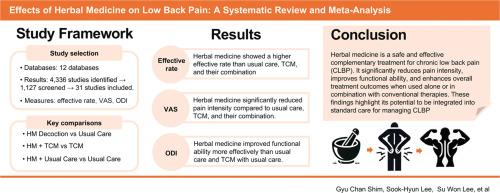 Effects of traditional east asian herbal medicine decoctions on low back pain: A systematic review and meta-analysis