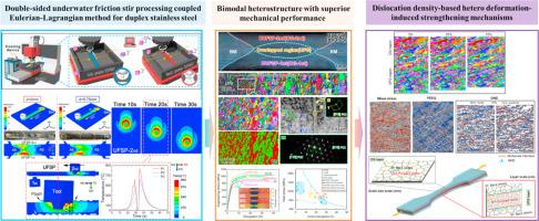 Multiscale strength-ductility synergy of double-sided underwater friction stir processed duplex stainless steel