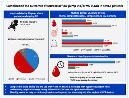 Complications of microaxial flow pump and VA-ECMO in infarct-related cardiogenic shock: Insights from the Netherlands heart registration