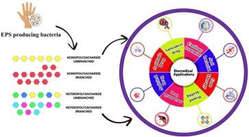 Advances in metal nanofabrication using microbial exopolysaccharides: Emerging biomedical applications