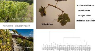 Comparative methods to identify variations in membrane fatty acids reflecting microbial community differences