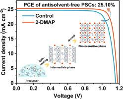 Dual-timescale crystallization engineering enabling direct α-FAPbI3 formation for high-efficiency antisolvent-free perovskite solar cells