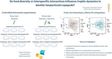 Beyond competition: food availability shapes trophic interactions between benthic harpacticoid copepods and free-living nematodes