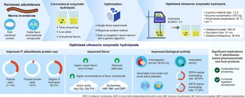 Ultrasonic-assisted enzymatic hydrolysis of Perinereis aibuhitensis using the RSM–BP–GA model