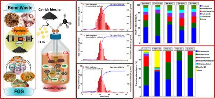Calcium-rich bone biochar boosts fat, oil, and grease (FOG) biodegradability: Methane maximization and microbial community pattern