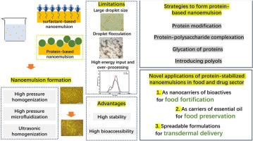 Food protein-based nanoemulsions: A comprehensive review with an emphasis on strategies to facilitate the formation and stabilization