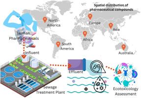 Global pharmaceutical pollution in waterways: Insights from sewage treatment point sources