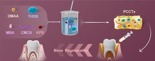 Tetrahydroxy Diboron-Initiated Injectable Hydrogel with Integrated Rapid Gelation, Fatigue Resistance, Bioadhesion, Antibacterial Activity, ROS Scavenging, and Osteoinduction for Periodontitis Treatment