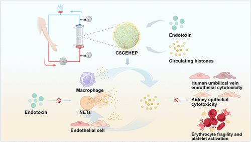 Simultaneous Removal of Endotoxin and Circulating Histones by Heparin-Grafted Chitosan-Cellulose Composite Microspheres for Multitargeted Hemoperfusion in Septic Blood