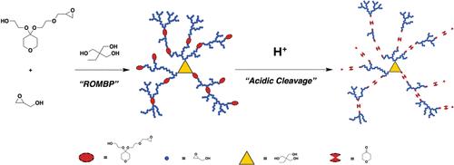 A-BioHPG: A Hydrophilic Biodegradable and Hemocompatible Hyperbranched/Dendritic Polyketal Polyglycerol with Tunable Degradation