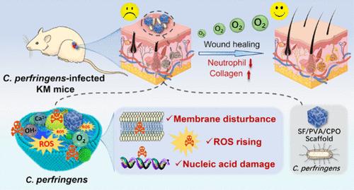 Oxygen-Generating Bioscaffold for the Treatment of Skin Anaerobic Infections