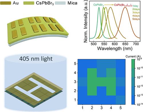 Ion Exchange-Enabled High-Speed Self-Power Photodetector Arrays Based on Large-Scale Monocrystalline Perovskite Films